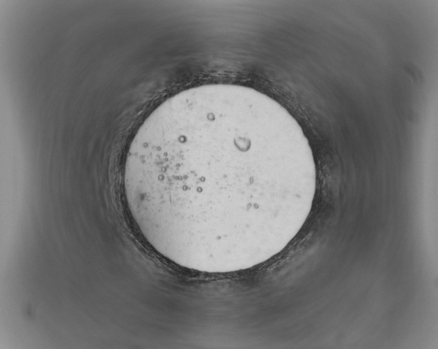 X0000112760769200908271619