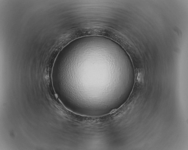 X0000112760771200908271619