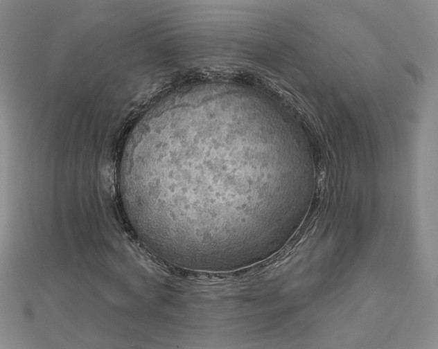 X0000112760772200908271619