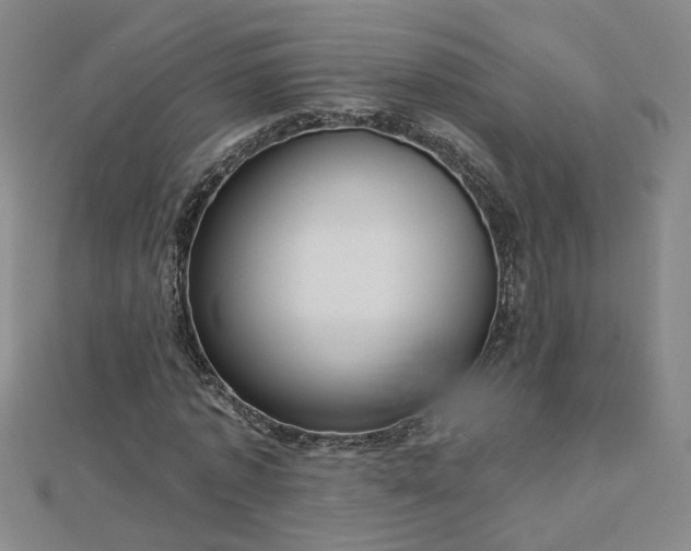 X0000112760773200908271619