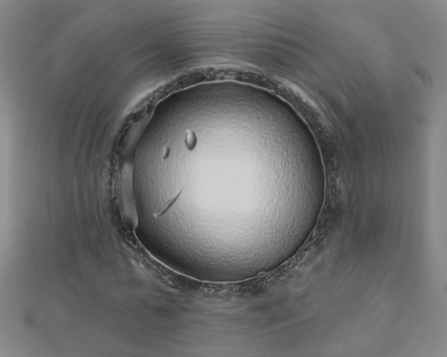 X0000112760775200908271619