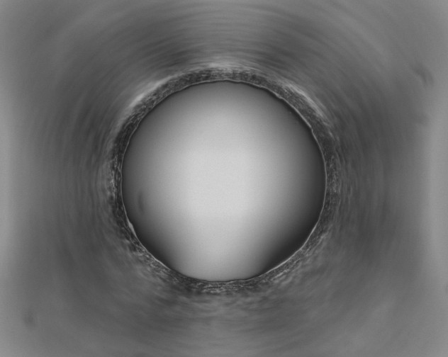 X0000112760776200908271619