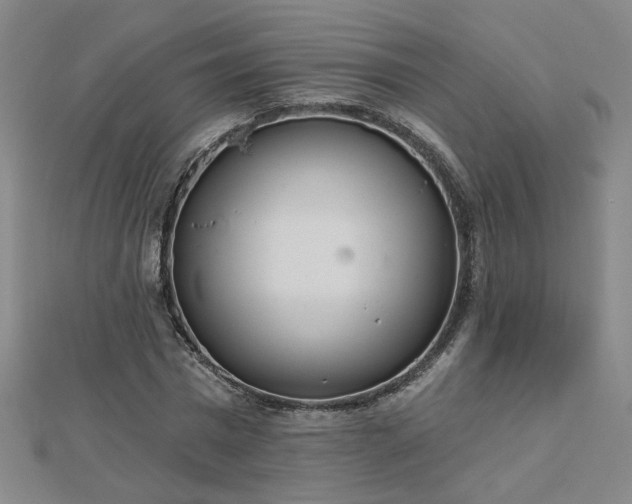 X0000112760777200908271618