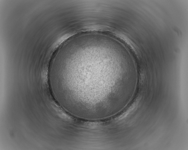 X0000112760778200908271618