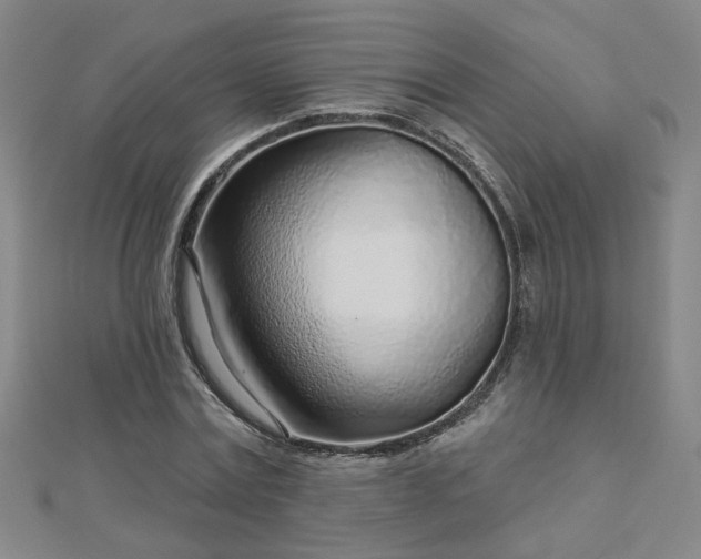 X0000112760779200908271618