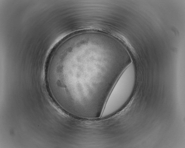 X0000112760780200908271618