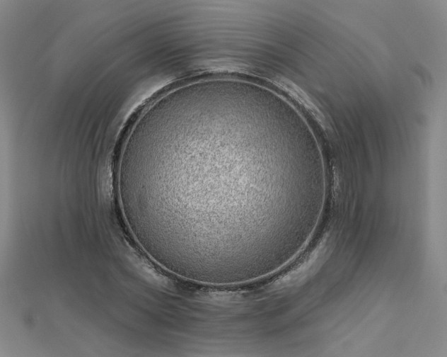 X0000112760782200908271618