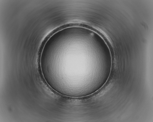 X0000112760783200908271618
