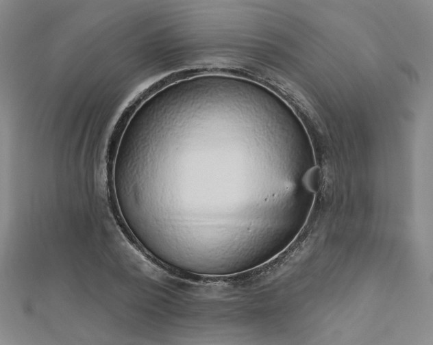X0000112760784200908271618