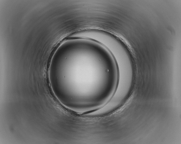 X0000112760785200908271618