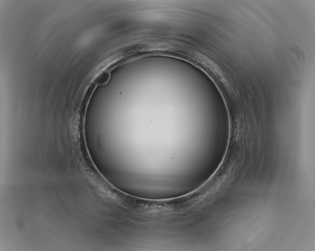 X0000112760786200908271618