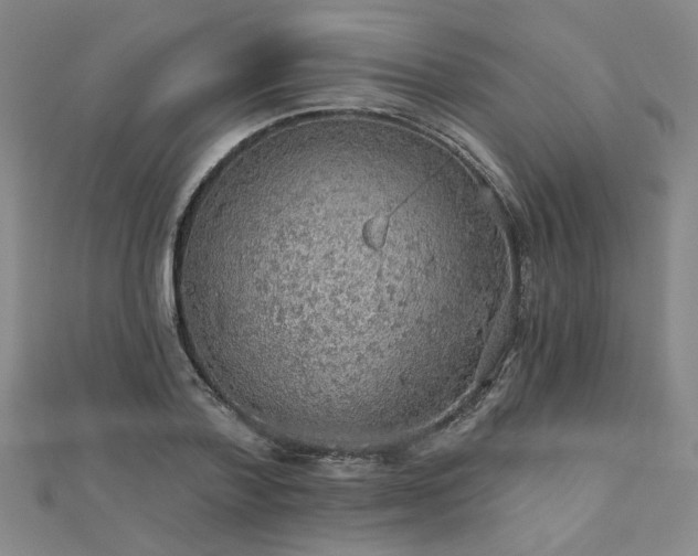 X0000112760788200908271618