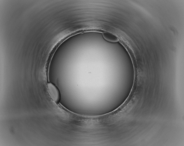 X0000112760789200908271618