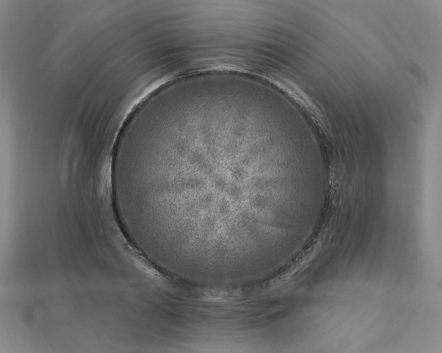 X0000112760790200908271618