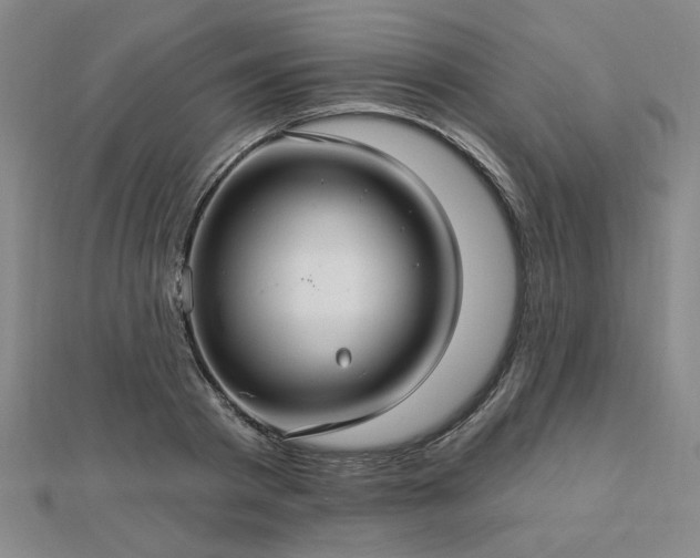 X0000112760793200908271618