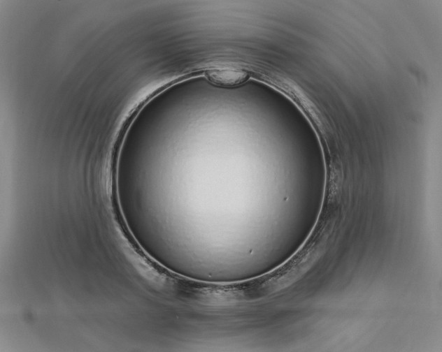 X0000112760795200908271618