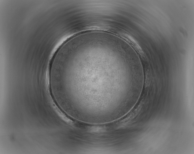 X0000112760796200908271618