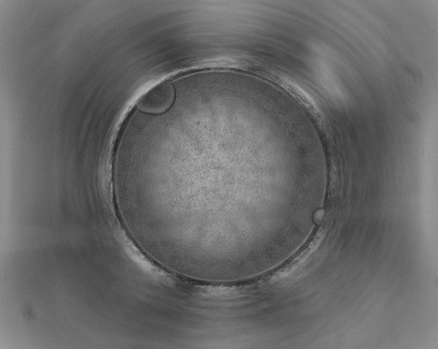 X0000112760800200908271618