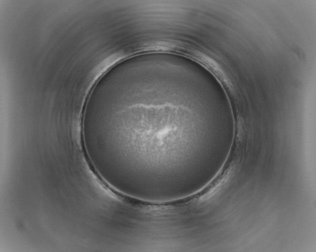 X0000112760802200908271618