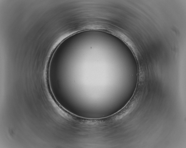 X0000112760803200908271618