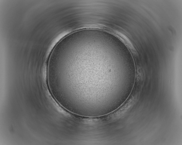 X0000112760804200908271618