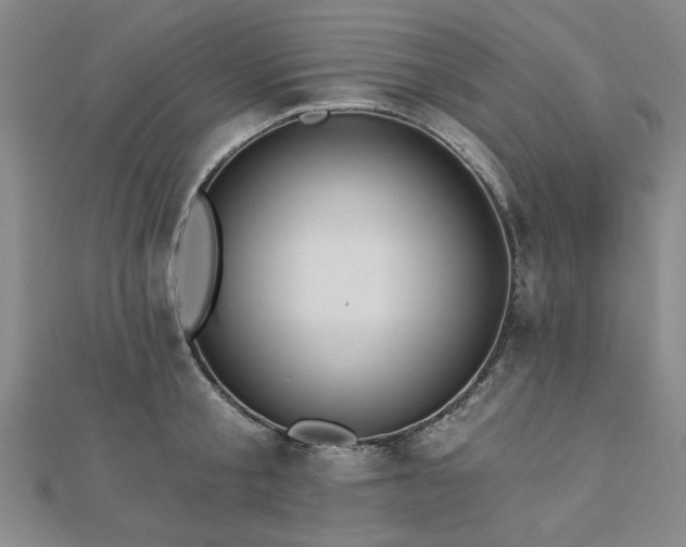 X0000112760805200908271618