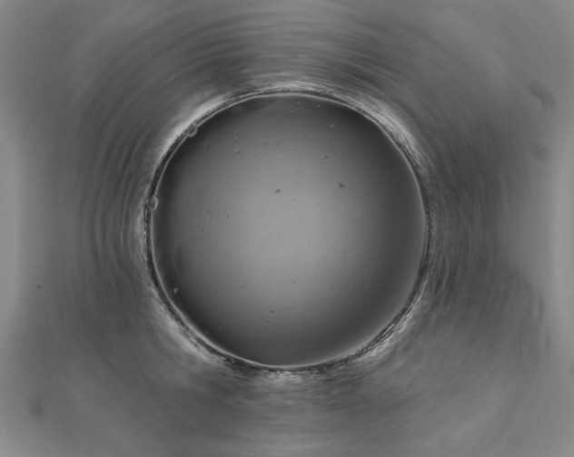 X0000112760806200908271618
