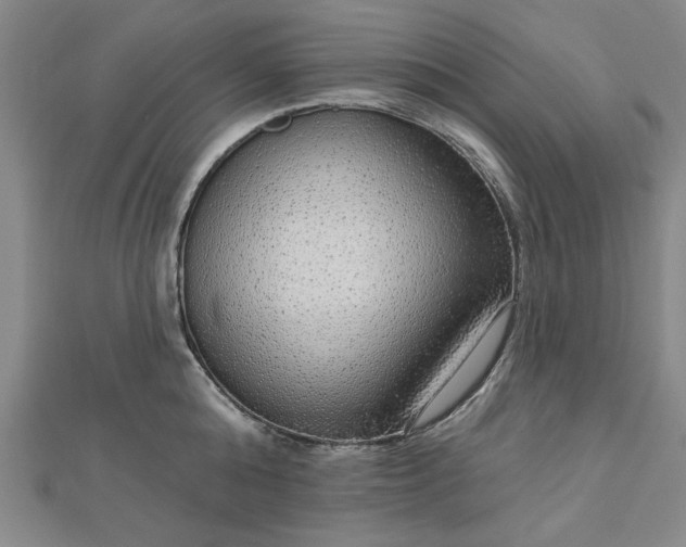 X0000112760808200908271618
