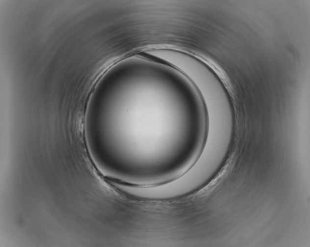 X0000112760809200908271618