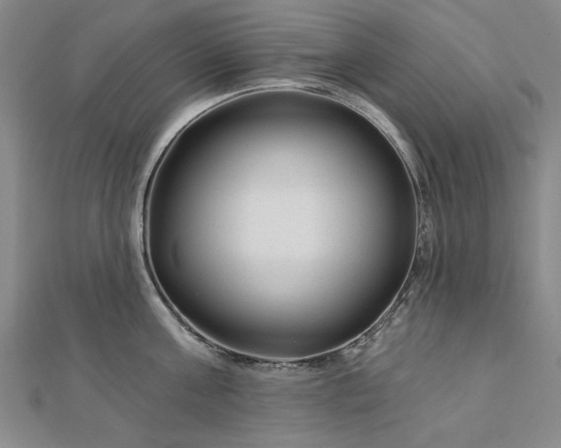 X0000112760811200908271618
