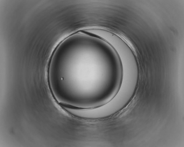 X0000112760813200908271618