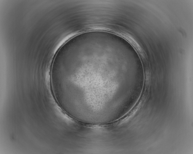 X0000112760814200908271618