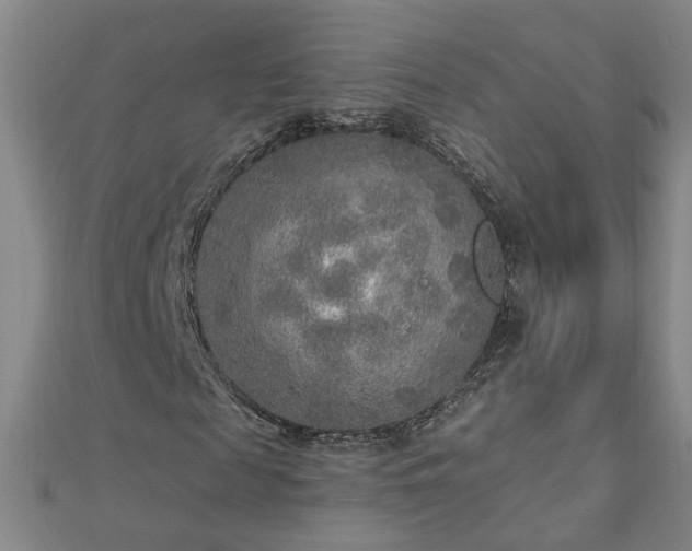 X0000112760817200908271617