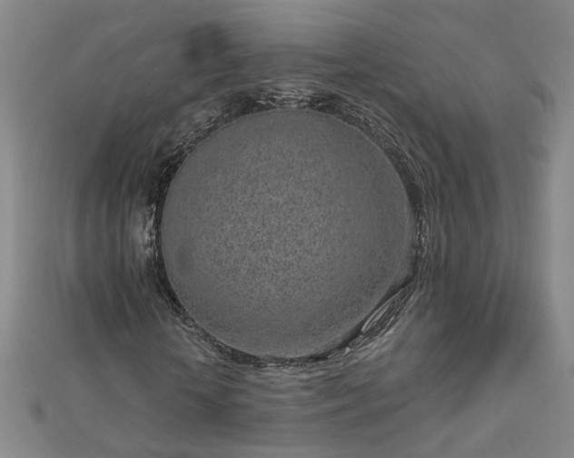 X0000112760818200908271617