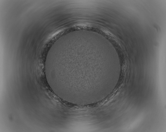 X0000112760822200908271617