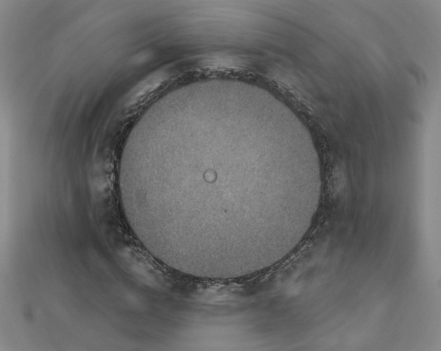 X0000112760824200908271617