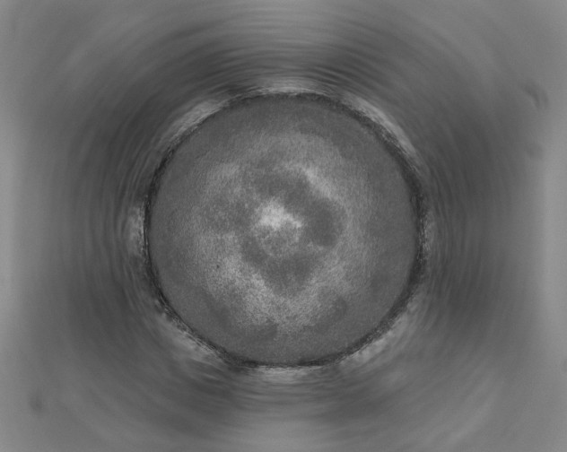 X0000112760825200908271617