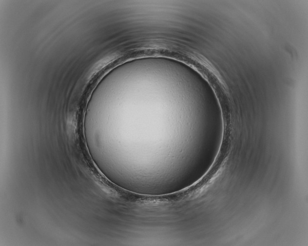 X0000112760826200908271617