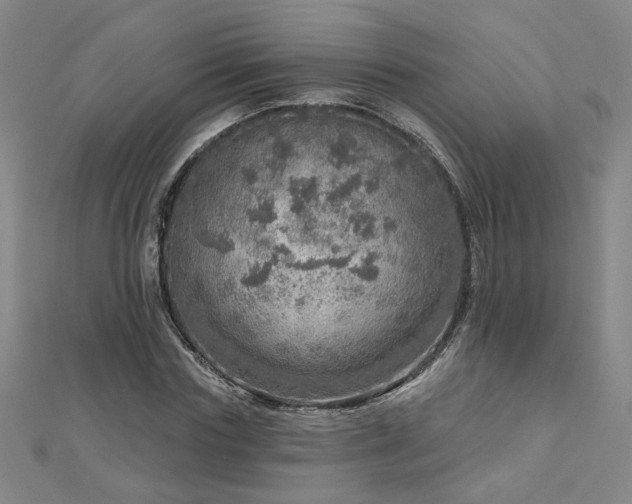 X0000112760827200908271617