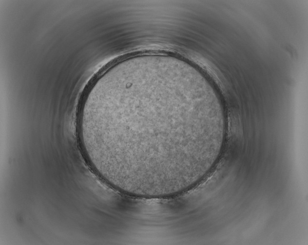 X0000112760828200908271618