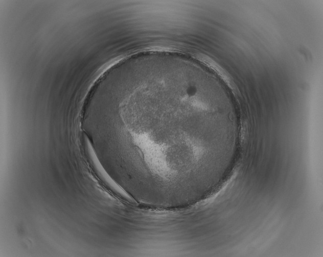 X0000112760829200908271618