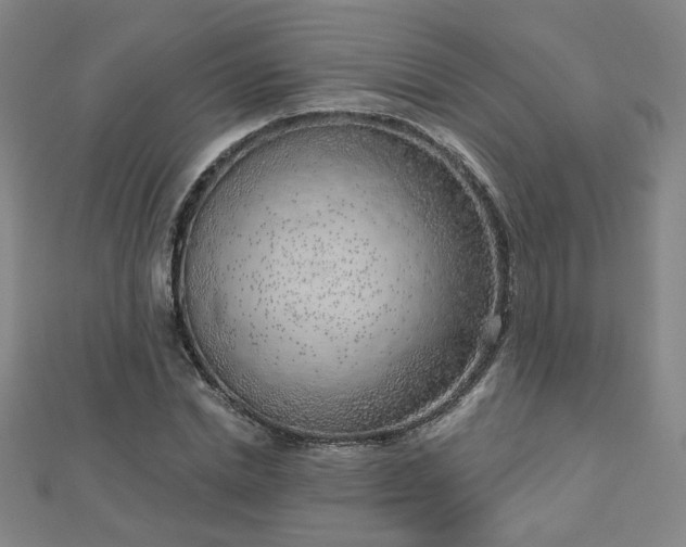 X0000112760830200908271618