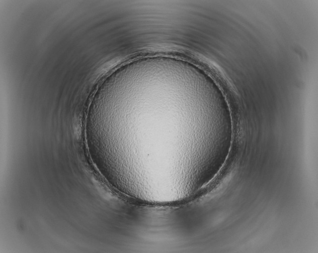 X0000112760833200908271618