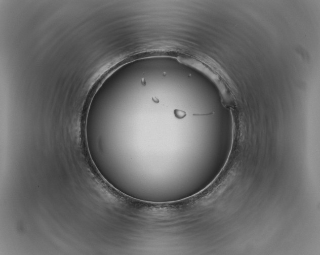X0000112760834200908271618