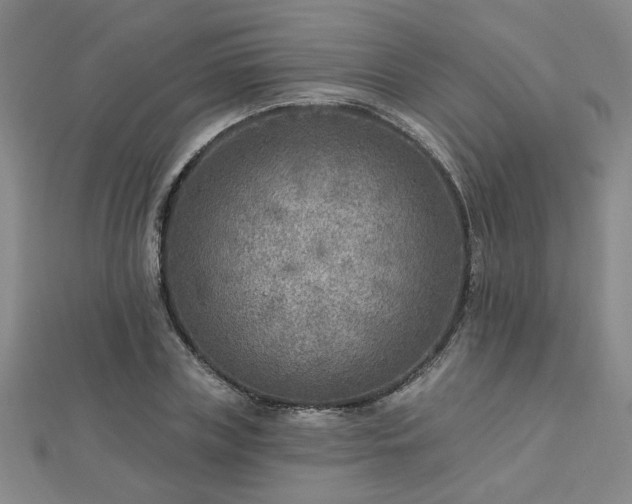 X0000112760835200908271618