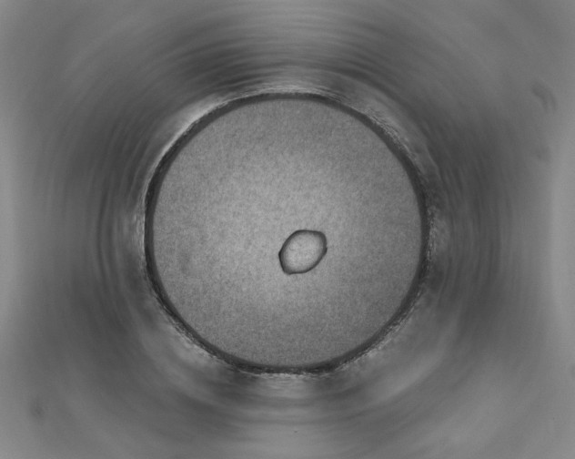 X0000112760836200908271618