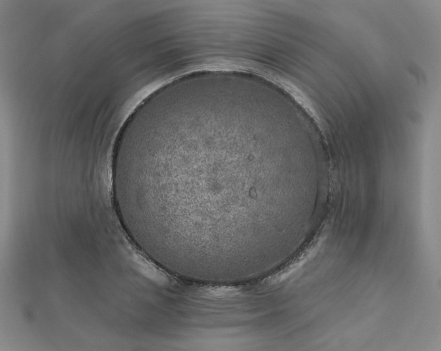 X0000112760837200908271618