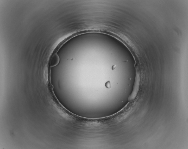 X0000112760838200908271618
