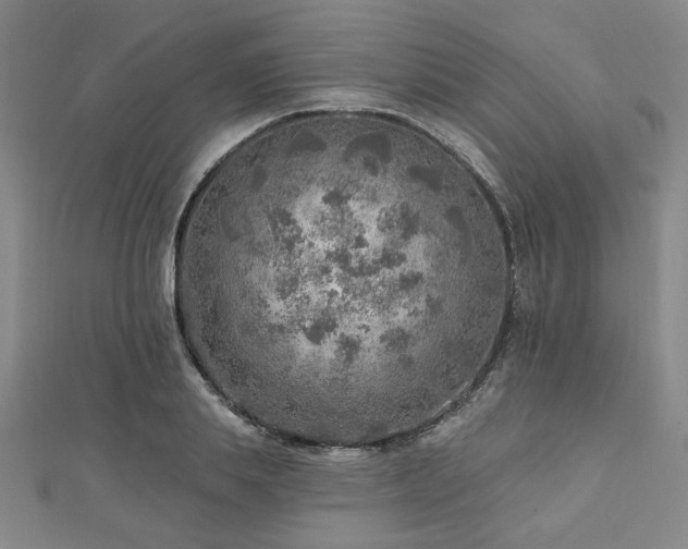 X0000112760839200908271618