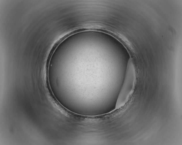 X0000112760840200908271618